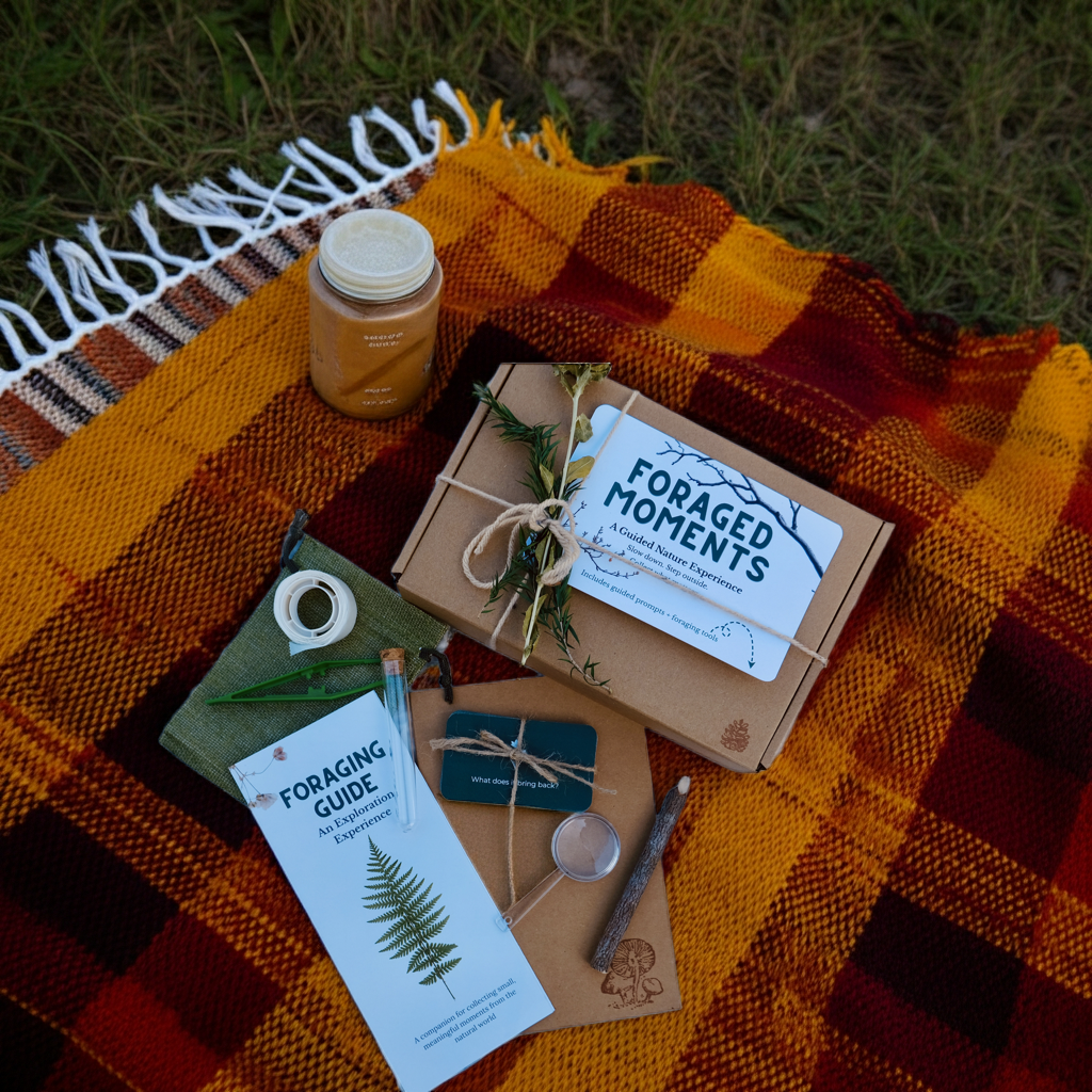 Nature Exploration Kits & Outdoor Activities - Foraged Moments