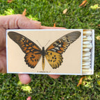 Butterfly Matchbox, Extra-Long Candle Matches, Entomology Gift, Natural History Décor