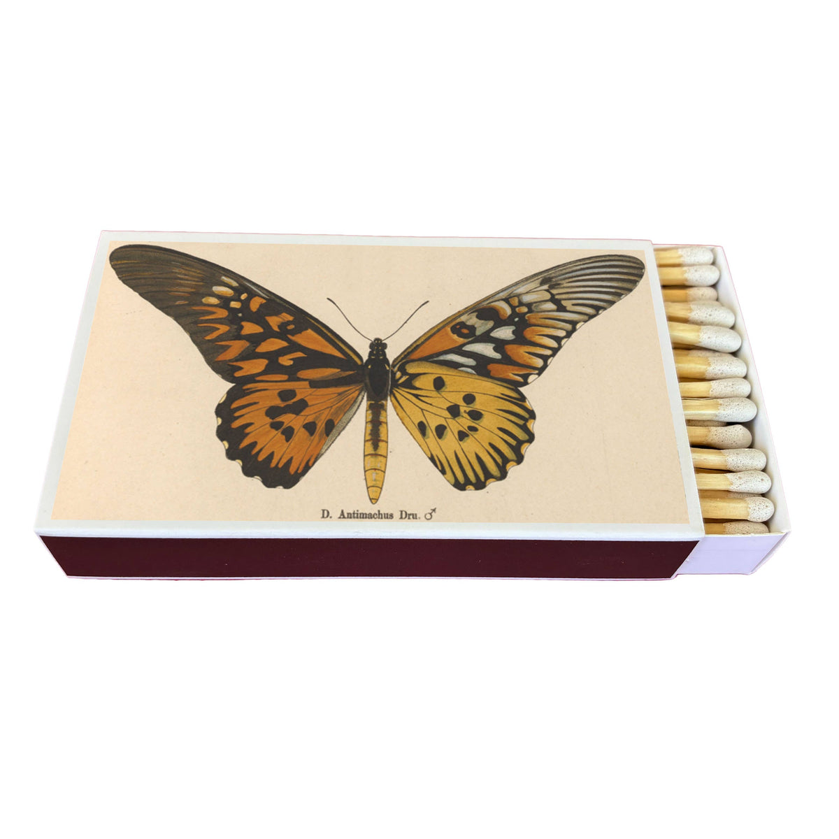 Butterfly Matchbox, Extra-Long Candle Matches, Entomology Gift, Natural History Décor