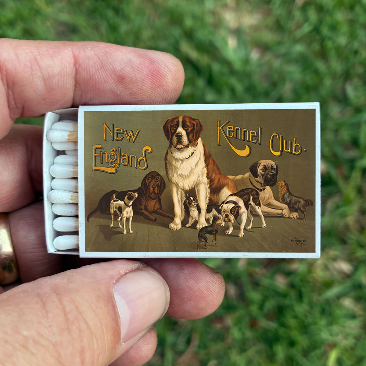 Vintage New England Kennel Club Matchbook, Dog Lover Collectible, Home Decor Accessory