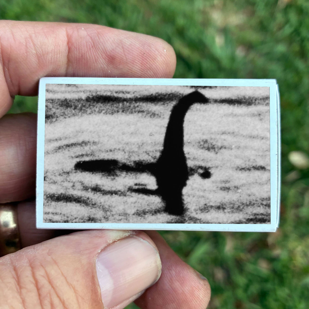Loch Ness Monster Matchbook, Cryptid Collectible, Vintage Matchbook Cover, Nessie Home Decor, Candle Lighting Accessory, Mythical Creature Gift