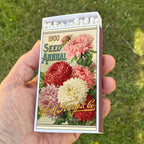 Large Vintage Flower Seed Packet Matchbox – 4-Inch Long Candle Matches, Botanical Garden Décor, Gardener Gift