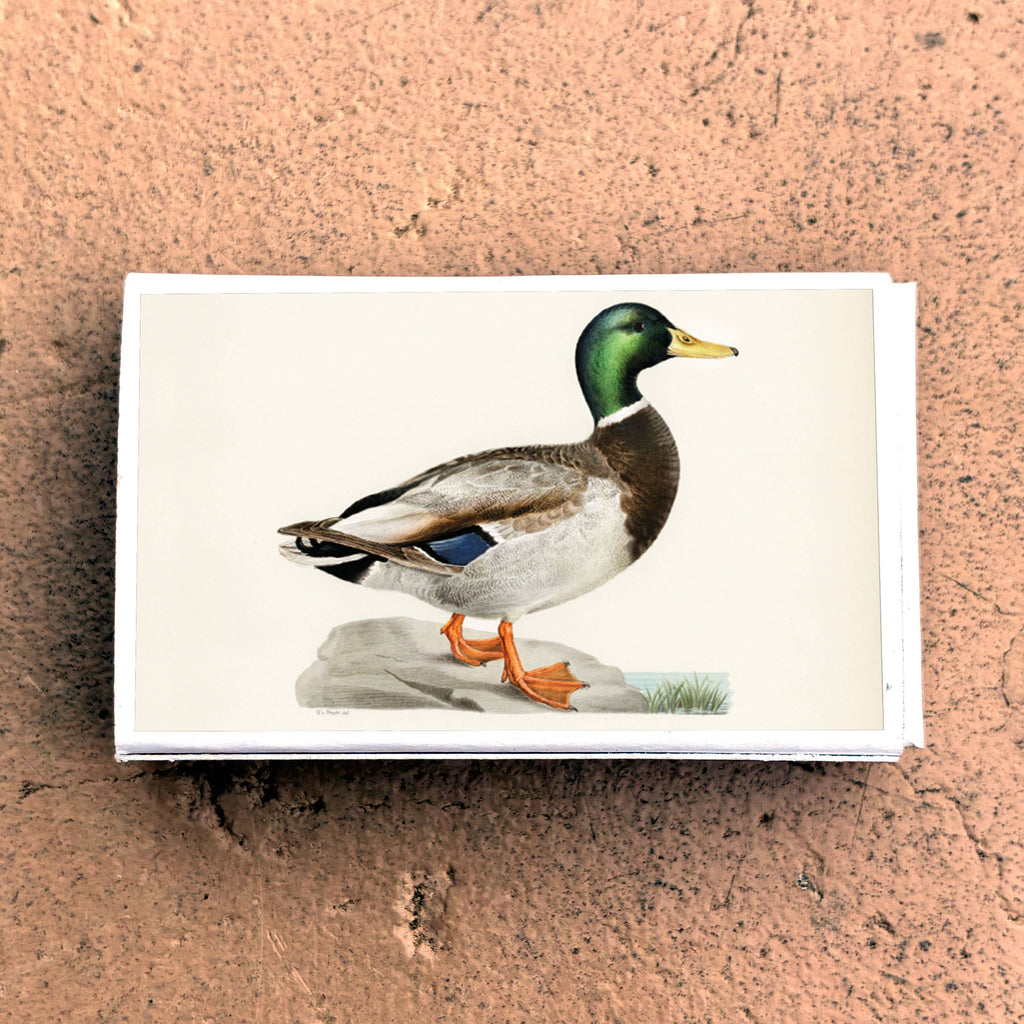 Vintage Mallard Duck Matchbook, Waterfowl Collectible, Nature Lover Gift (20-23 Matches)