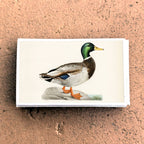 Vintage Mallard Duck Matchbook, Waterfowl Collectible, Nature Lover Gift (20-23 Matches)