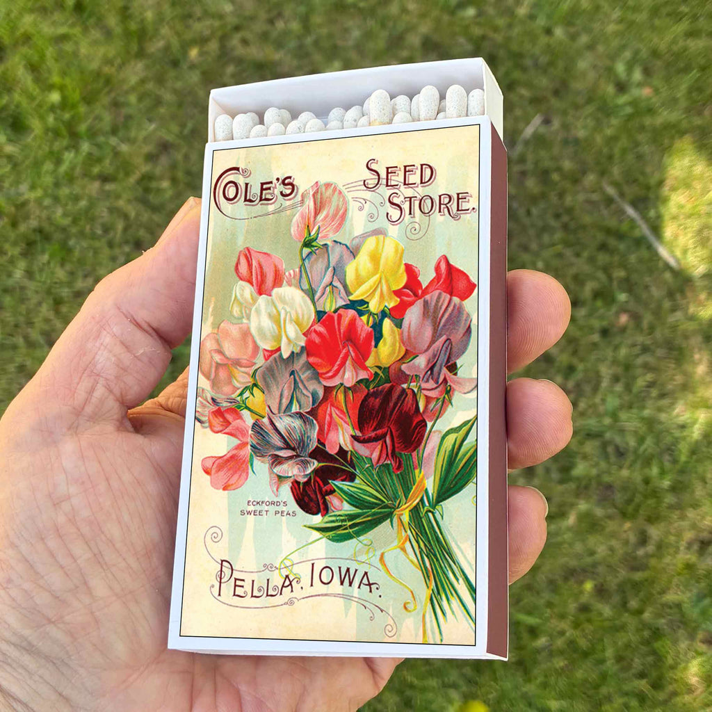Large Sweet Pea Flower Matchbox – 4-Inch Long Candle Matches, Botanical Home Décor, Floral Gardener Gift