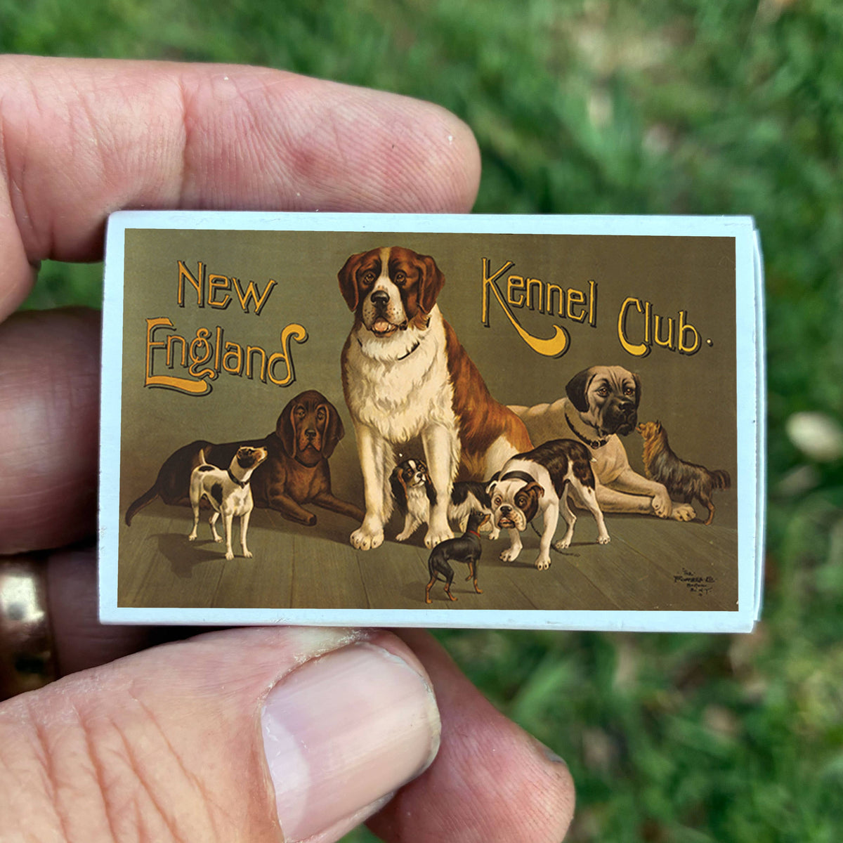 Vintage New England Kennel Club Matchbook, Dog Lover Collectible, Home Decor Accessory