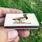 Vintage Mallard Duck Matchbook, Waterfowl Collectible, Nature Lover Gift (20-23 Matches)