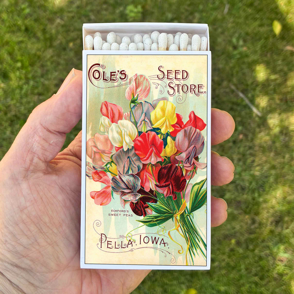Large Sweet Pea Flower Matchbox – 4-Inch Long Candle Matches, Botanical Home Décor, Floral Gardener Gift