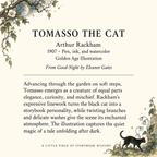 Tomasso Black Cat Matchbook, Vintage Collectible, Halloween Decor (15-20 Matches)