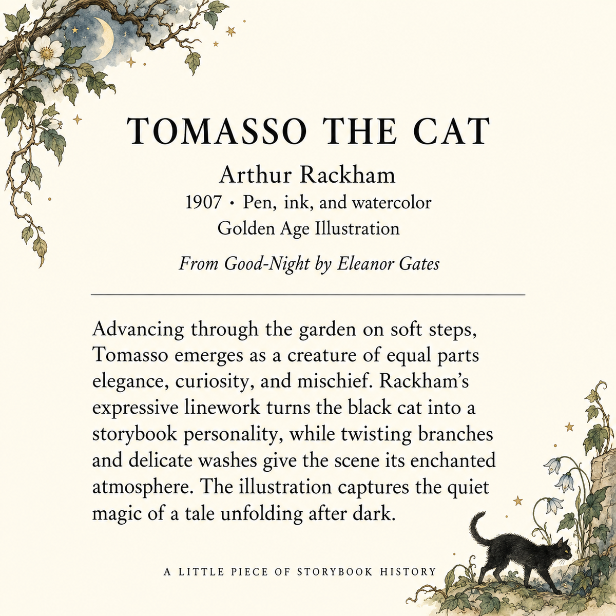 Tomasso Black Cat Matchbook, Vintage Collectible, Halloween Decor (15-20 Matches)