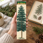 Tall Trees Matchbox – Oversized Decorative Safety Matches, Woodland Décor