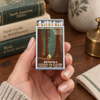 A hand with manicured nails holds a vintage-style matchbox featuring Sequoia National Park artwork. The matchbox has a forest illustration and reads 'Ranger Naturalist Service' and 'Sequoia National Park.