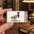 A hand holds a matchbox featuring a detailed illustration of a mallard duck on the front. The matchbox is shown in a cozy, vintage-style setting with a wooden table, old books, a brass lamp, and a leather journal in the background.