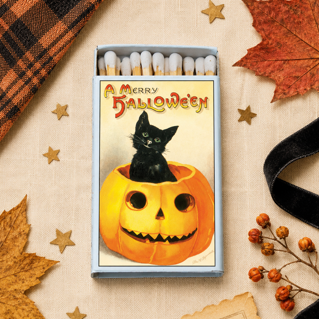 Vintage Halloween Black Cat Matchbook, Pumpkin Design, Spooky Decor Accessory