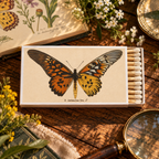 Butterfly Matchbox, Extra-Long Candle Matches, Entomology Gift, Natural History Décor
