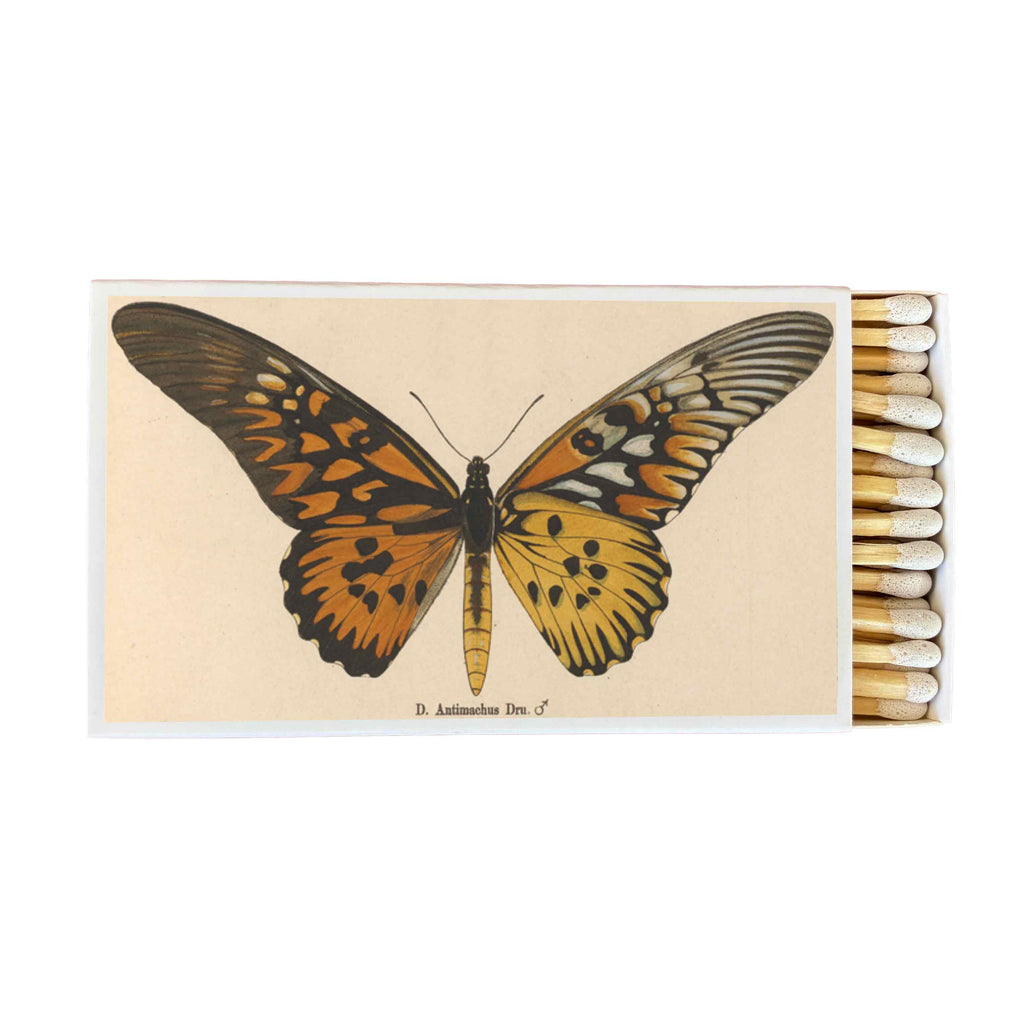 Butterfly Matchbox, Extra-Long Candle Matches, Entomology Gift, Natural History Décor