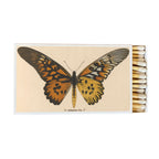 Butterfly Matchbox, Extra-Long Candle Matches, Entomology Gift, Natural History Décor
