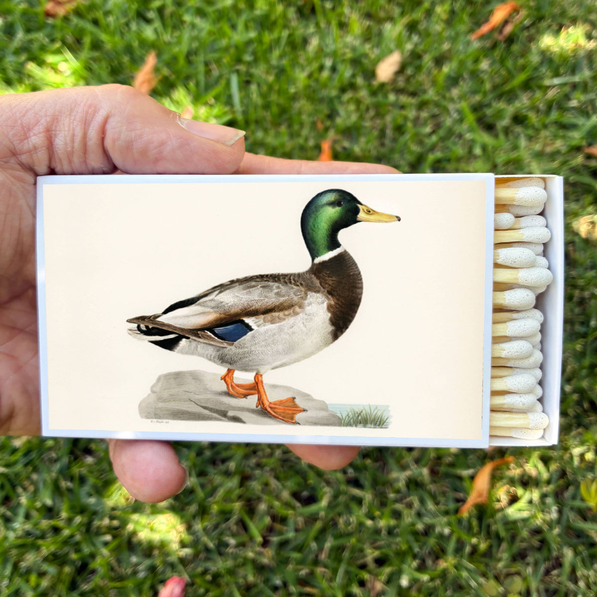 Large Mallard Duck Matchbox – 4-Inch Long Matches, Rustic Cabin Décor, Outdoorsman Gift