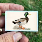 Vintage Mallard Duck Matchbook, Waterfowl Collectible, Nature Lover Gift (20-23 Matches)