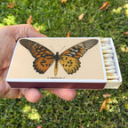Butterfly Matchbox, Extra-Long Candle Matches, Entomology Gift, Natural History Décor