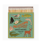 Mississippi State Safety Matches | Illustrated State Matchbox | Magnolia State Gift | Candle Matches | Made in USA