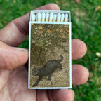Tomasso Black Cat Matchbook, Vintage Collectible, Halloween Decor (15-20 Matches)