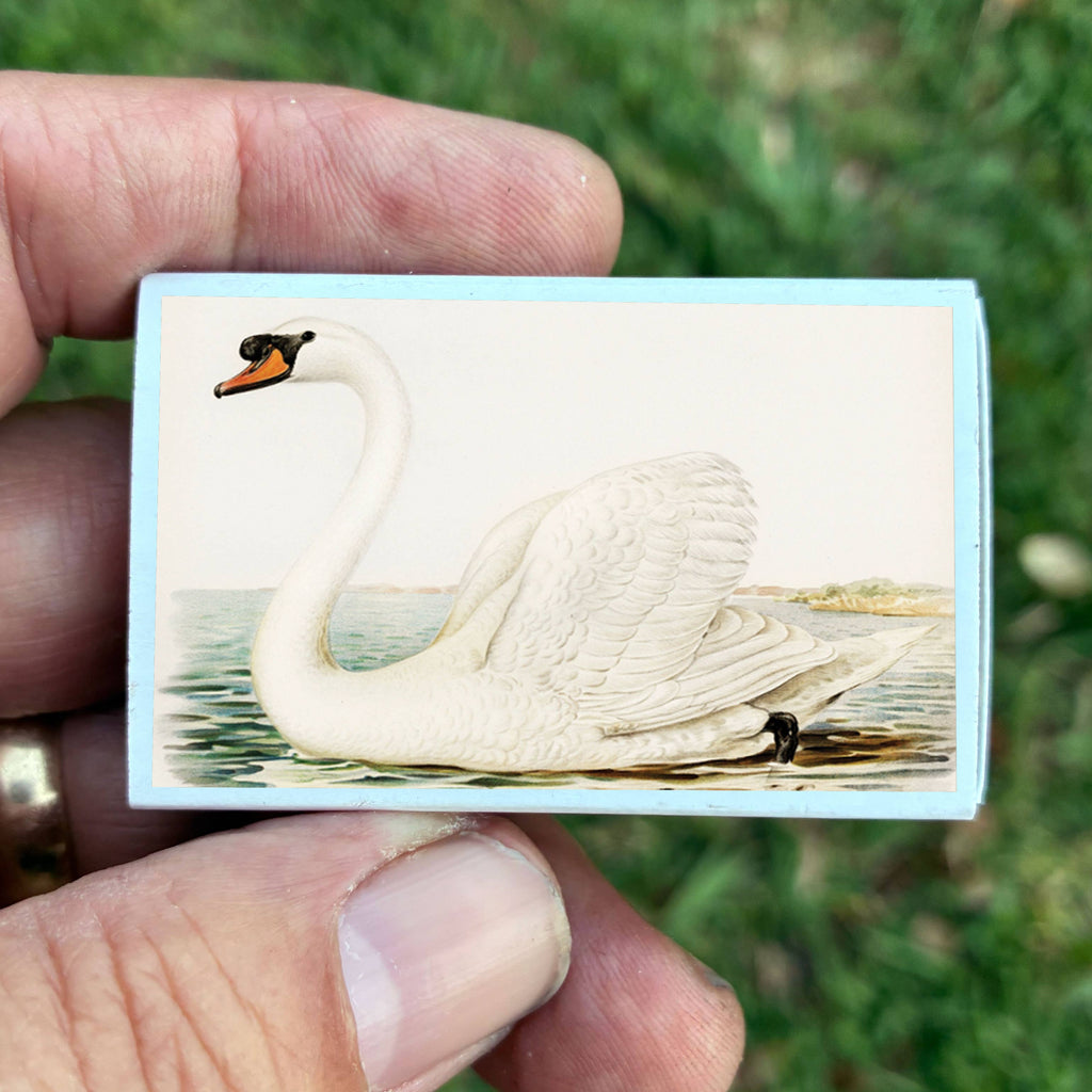 Vintage Swan Matchbox – Elegant Bird Matches, Cottagecore Home Décor, Candle Accessory