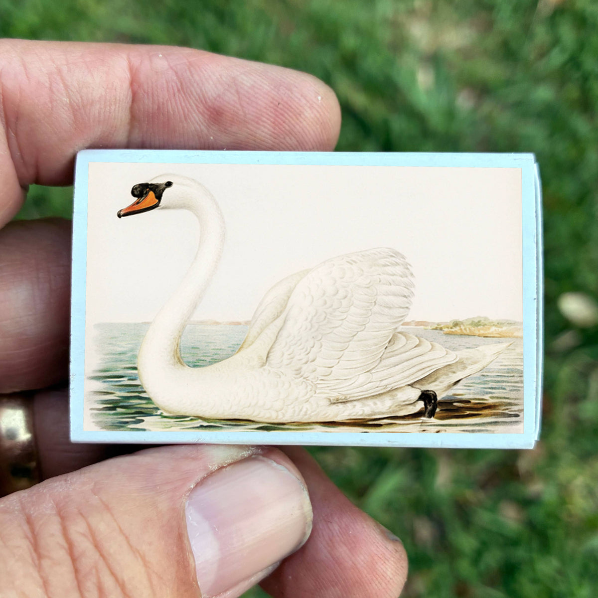 Vintage Swan Matchbox – Elegant Bird Matches, Cottagecore Home Décor, Candle Accessory