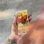 Large Sweet Pea Flower Matchbox – 4-Inch Long Candle Matches, Botanical Home Décor, Floral Gardener Gift