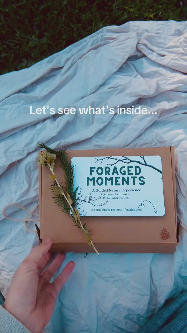Guided Nature Kit